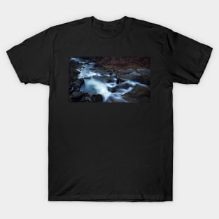 River T-Shirt